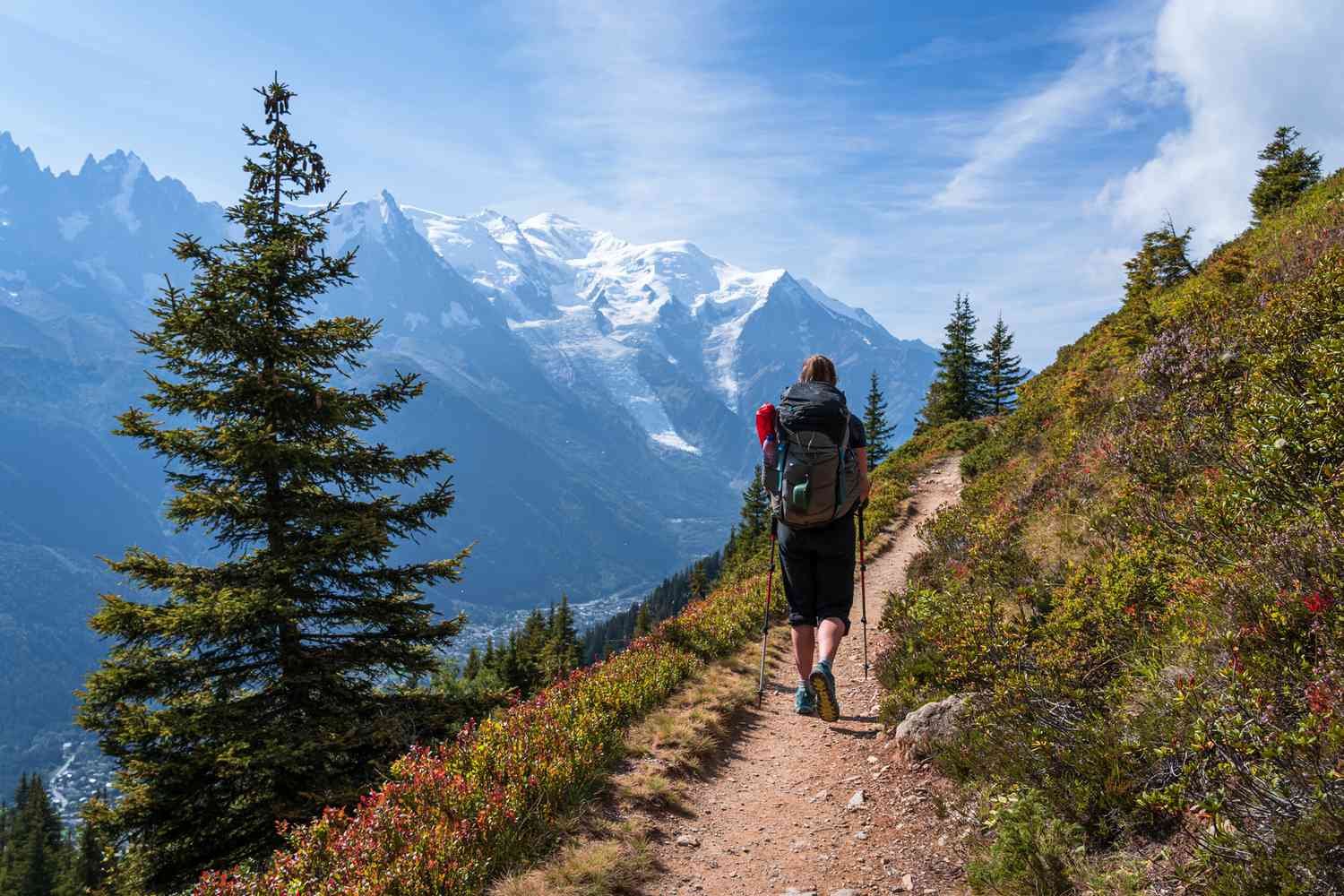 Hiker on a scenic trail